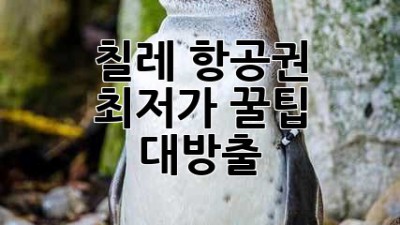 🇨🇱 칠레 항공권 ✈️ 최저가 꿀팁 대방출! ✨