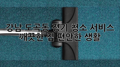 강남 도곡동 정기 청소 서비스: 깨끗한 집, 편안한 생활